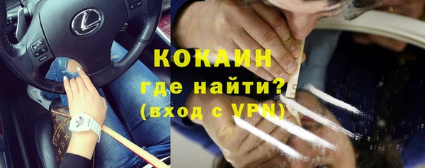 шишки Богданович