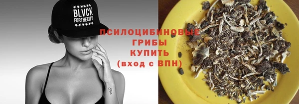 метамфетамин Богородицк