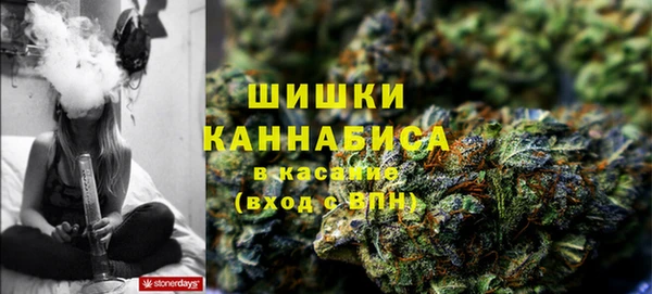 шишки Богданович