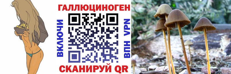 купить закладку  Электроугли  Галлюциногенные грибы Magic Shrooms 